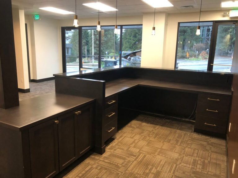 SEATTLE COMMERCIAL TENANT OFFICE DESIGNS AND CONSTRUCTION SERVICES