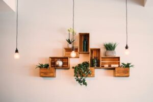 Wooden shelves with plants hanging on the white wall in a Seattle home renovation