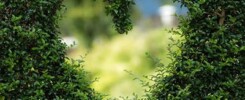 Sustainable trends in home renovation and design | Town Construction And Development Sustainable trends in home renovation and design | Sustainable trends in home renovation and design