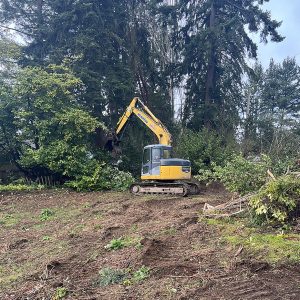 Shoreline custom home project in progress